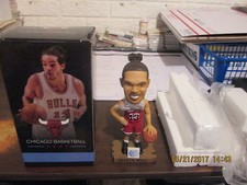 Nba chicago bulls for sale  Tremont