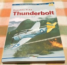 Republic thunderbolt kagero usato  Citta Sant Angelo