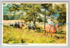 R782585 pony trekking for sale  WARLINGHAM