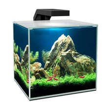 Nano acquario ciano usato  Terlizzi
