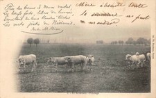 Nièvre paniers osier d'occasion  France