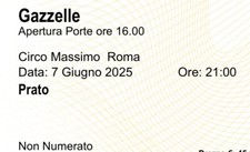 Biglietti concerto gazzelle usato  Sala Consilina
