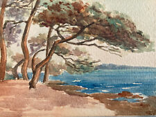 Belle peinture aquarelle d'occasion  Toulouse-