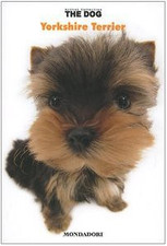 Yorkshire terrier. the usato  Vejano
