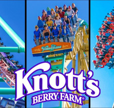 Knotts berry farm for sale  USA