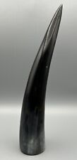 Kuhhorn stierhorn horn gebraucht kaufen  Schwerin