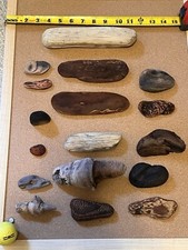 Redwood coast driftwood for sale  Crescent City