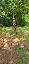 Martin archery recurve for sale  Bonneau