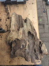 Bog wood fish for sale  SANDY