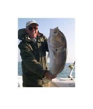 Rotex filo pesca usato  Valenzano