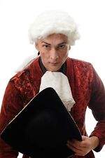 Baroque homme perruque d'occasion  Expédié en France