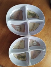 Plastic serving dishes for sale  DROITWICH
