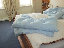 Gutes daunensteppbett blau gebraucht kaufen  Rosenfeld