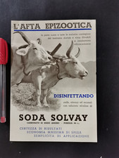 Volantino soda solvay usato  Casale sul Sile