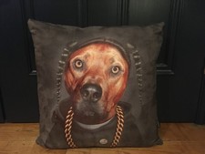 Pets rock snoop for sale  STANSTED