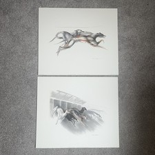 Greyhound prints artist for sale  AYLESBURY