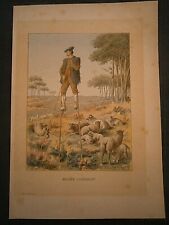 Gravures couleur echasse d'occasion  Lunéville