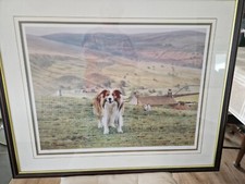Stay sam ltd for sale  BURNLEY