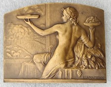 Belle medaille femme d'occasion  Plombières-lès-Dijon