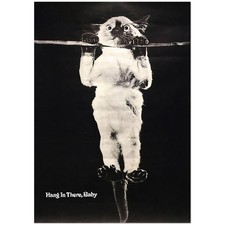 Hang baby cat for sale  Dayton