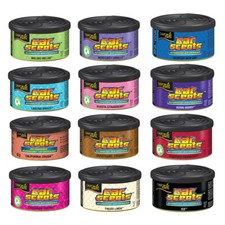 California scents car gebraucht kaufen  Wetzlar