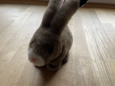 Kaninchen gebraucht kaufen Kaninchen gebraucht kaufen  Riedenburg