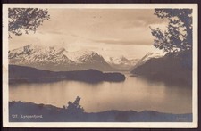 poney fjord d'occasion  Bellegarde