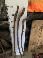 blackthorn shanks for sale blackthorn shanks for sale SOUTH MOLTON