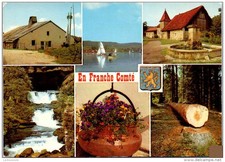 Carte souvenir franche d'occasion  France