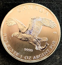 Maple leaf birds gebraucht kaufen  Halle