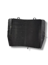 Radiatore t2100941 triumph usato  Milano