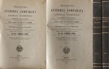 Trattato anatomia comparata usato  Italia