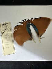 Mandarin duck feathers for sale  Oakville