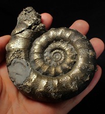 Big heavy pyrite for sale  BRISTOL