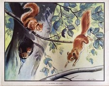 Vintage enid blyton for sale  STOKE-ON-TRENT