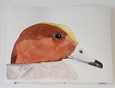 Canard siffleur aquarelle d'occasion  Bouaye