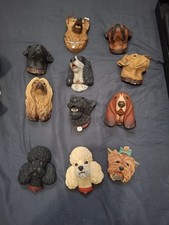 Bossons dog head for sale  Pflugerville