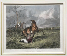 Horse racing lost for sale Horse racing lost for sale  UK