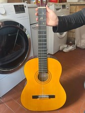Eko natural chitarra usato  Roma