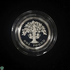 Moeda de prata esterlina 1987 à prova de uma libra - 9,5 g - 22 mm de diâmetro comprar usado  Enviando para Brazil