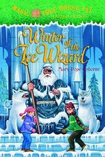 Winter ice wizard for sale  Boston