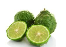 Bio kaffir limette gebraucht kaufen  Wurzen