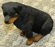 Sandicast rottweiler statue for sale  Eden