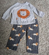 Baby boy lion for sale  Saline