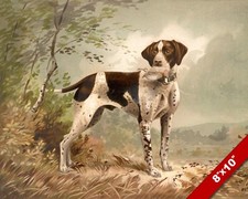 Loyal hunting dog for sale  South Jordan