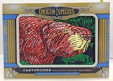 Castoroides 2016 goodwin d'occasion  Expédié en France