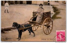 Attelage chien. d'occasion Attelage chien. d'occasion  France