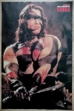 Poster conan barbar gebraucht kaufen  Emden