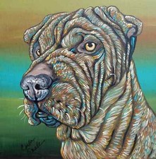 Shar pei original d'occasion  Expédié en Belgium