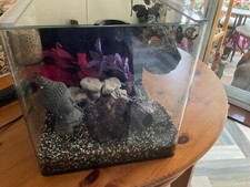 Glass aquarium lid for sale  CHESTERFIELD